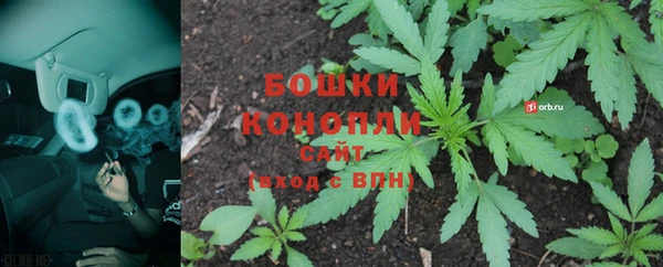 гидра Белоозёрский
